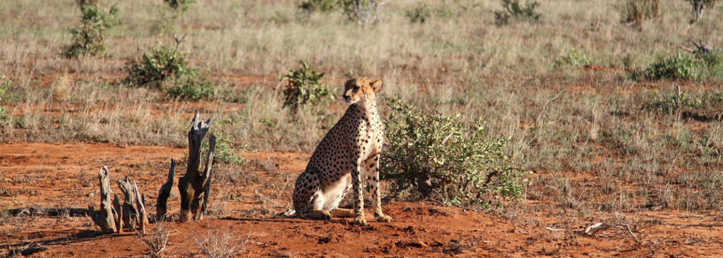 10-Day Expedition: Discovering the Hidden Heart of Burundi