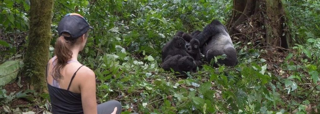 3-Day Rwanda Gorilla Safari – Volcanoes National Park Trek