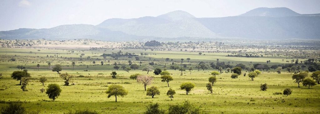 14-Day East Africa Safari – Gorillas, Big Five & Serengeti