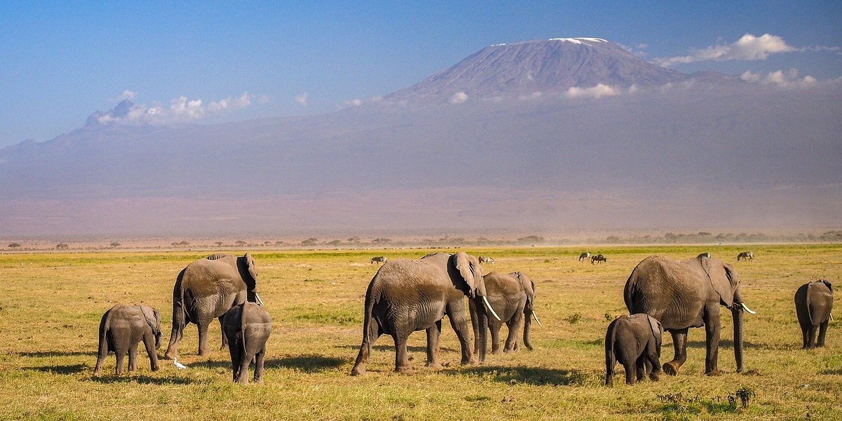 Amboseli National Park