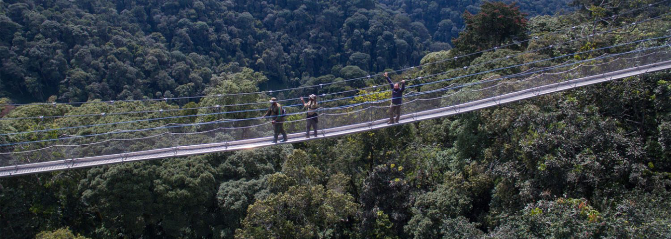 Nyungwe National Park