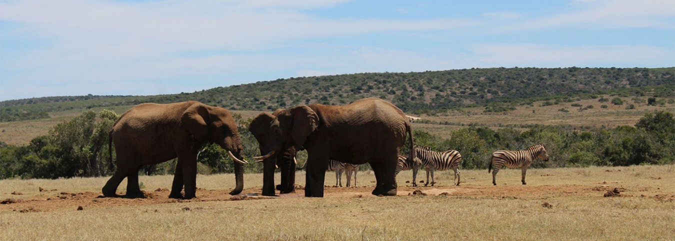Tarangire National Park